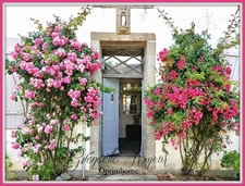 Maison à vendre 9 pièces SAINT SAUVEUR (29)