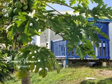 Propriété - Villa et ses 3 bungalows - Quartier résidentiel