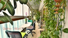 APPARTEMENT T4 EN VIAGER SANS RENTE + 1 PLACE DE PARKING PRIVATIVE A PERPIGNAN (66)