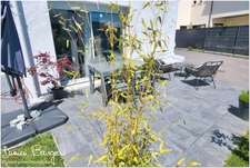 Maison individuelle de 124 m2 avec 4 chambres et terrain de plus de 400 m2