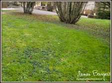 Terrain constructible de 706 m² à Pougny emplacement privilégié à la frontière suisse