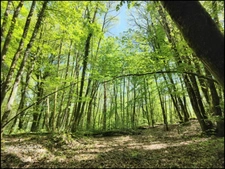 Maison à vendre 7 pièces, 3/4 chambres à SAINT ELOI en Creuse (23)