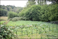 Maison mitoyenne + petite maison avec terrains et hangar à 15 mn de Guéret