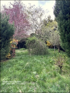 Maison familiale de 7 pièces à BOURGANEUF (23)