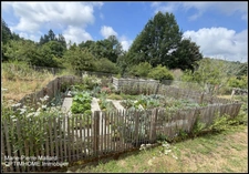Jolie maison avec beau jardin  à TARNAC (19)