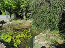Maison à vendre 7 pièces, 3/4 chambres à SAINT ELOI en Creuse (23)