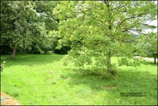 Maison de famille à la campagne, 6 pièces à SAINT PIERRE BELLEVUE (23) avec un jardin