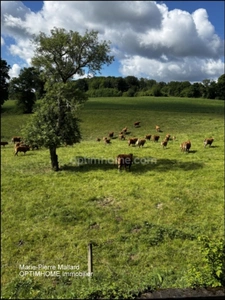 Ensemble immobilier à rénover à SAINT DIZIER LEYRENNE (23)