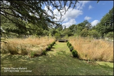 Jolie maison avec beau jardin  à TARNAC (19)