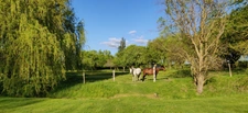 Dept of Vienne (86) Property for sale 7 rooms land 2 hectares SENILLE (86100)