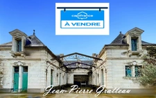 Dpt Vienne (86), à vendre CHATELLERAULT propriete P10 de 350 m² - Terrain de 1 516,00 m² 