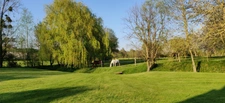 Dept of Vienne (86) Property for sale 7 rooms land 2 hectares SENILLE (86100)
