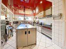 Department of Vienne (86), for sale in Thuré, Manor house with 16 rooms, 670m2-35720 m2