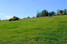 Propriété équestre d'environ 45 hectares à Arconsat 63