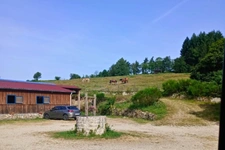 Propriété équestre d'environ 14 hectares à Arconsat 63