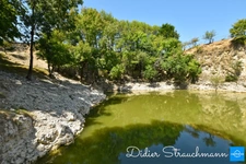 Vente à terme Propriété SURGERES (17)