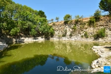 Vente à terme Propriété SURGERES (17)