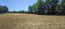 Terrain à vendre de 3 299,00 m² BEAUVAIS SUR TESCOU (81)