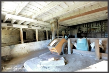 Ancien corps de ferme sur 6 hectares – Idéal pour projet équestre ou élevage canin  Maison en pierre 4 chambres avec dépendances à PINEUILH (33