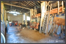 Ancien corps de ferme sur 6 hectares – Idéal pour projet équestre ou élevage canin  Maison en pierre 4 chambres avec dépendances à PINEUILH (33