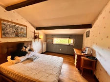 EXCLUSIVITÉ — Maison familiale de 145 m² sur 5 000 m² de parcelle arborée-BONNAC-LA-CÔTE - Haute-Vienne (87)