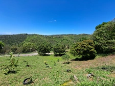 Terrain à vendre  SAINTE LUCE (972)