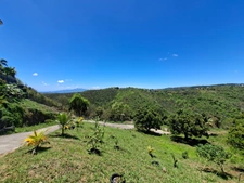 Terrain à vendre  SAINTE LUCE (972)