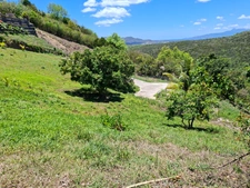 Terrain à vendre  SAINTE LUCE (972)
