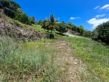 Terrain à vendre  SAINTE LUCE (972)