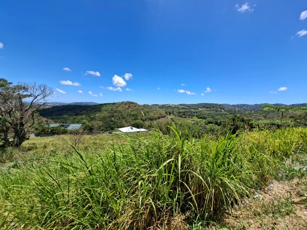 Terrain à vendre  RIVIERE SALEE (972)