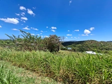 Terrain à vendre  RIVIERE SALEE (972)