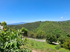 Terrain à vendre  SAINTE LUCE (972)