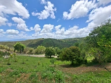 Terrain à vendre  SAINTE LUCE (972)