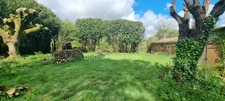 Belle maison de campagne 174 m2 ( ferme ) 5 chambres - Grande pièces de vie - 6200 m2 + dépendances et Préau