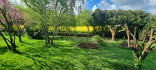 Belle maison de campagne 174 m2 ( ferme ) 5 chambres - Grande pièces de vie - 6200 m2 + dépendances et Préau