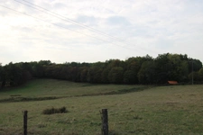 Maisons de village avec 4,03 ha cloturés.  Idéal pour une utilisation équestre, petite exploitation ou gite.