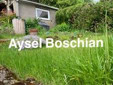 MAISON 4 CHAMBRES-132M2- PROCHE ECOLES - TERRAIN 