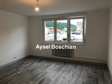 APPARTEMENT LUMINEUX- 2 CHAMBRES- PROCHE GARES ET FRONTIERES 