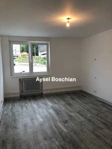 APPARTEMENT LUMINEUX- 2 CHAMBRES- PROCHE GARES ET FRONTIERES 