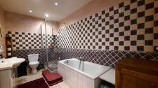 CHATEAUNEUF LES MARTIGUES : Maison 267m² + piscine + locaux d'activités professionnelles 280m²