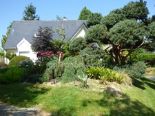 Maison 4 chambres, sous-sol et magnifique jardin
