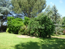 Maison 4 chambres, sous-sol et magnifique jardin