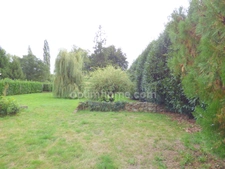 Maison plain-pied avec terrain constructible SAINT NICOLAS DE REDON (44)