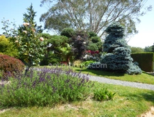 Maison 4 chambres, sous-sol et magnifique jardin