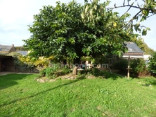 Maison à vendre 6 pièces FEGREAC (44)