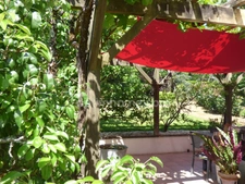Maison 4 chambres, sous-sol et magnifique jardin