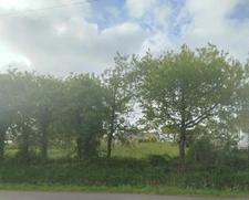Terrain à vendre de 997,00 m² viabilisé, constructible BEGANNE (56)