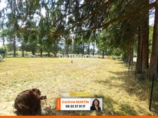 Terrain à vendre de 1400  ALLAIRE (56)