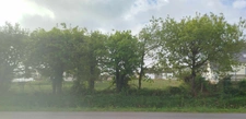 Terrain à vendre de 997,00 m² viabilisé, constructible BEGANNE (56)