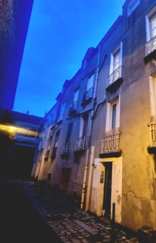 Appartement à vendre 1 pièces NANTES (44)